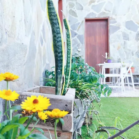 Izuran House * Buenavista Del Norte